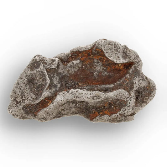 Get your Authentic Agoudal Iron Meteorite from the High Atlas online now or in store at Forever Gems in Franschhoek, South Africa