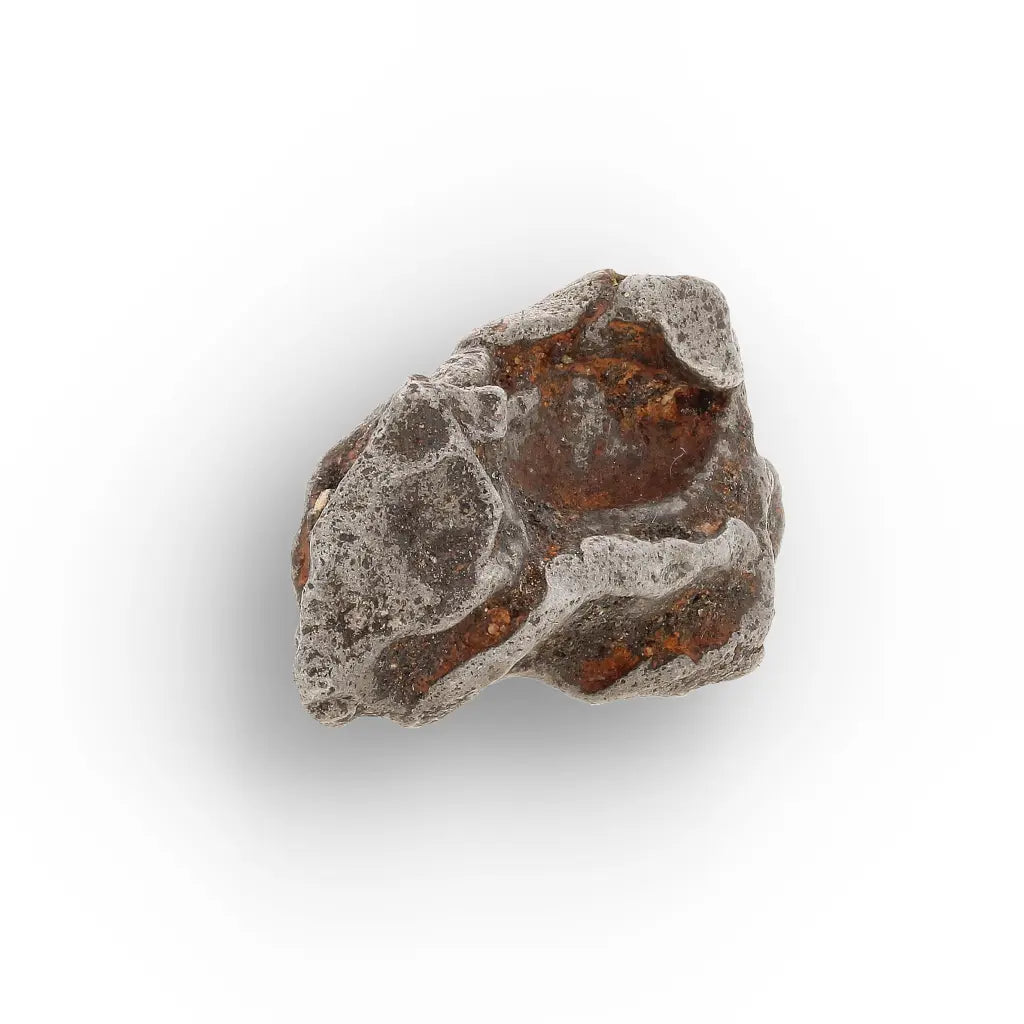 Get your Authentic Agoudal Iron Meteorite from the High Atlas online now or in store at Forever Gems in Franschhoek, South Africa