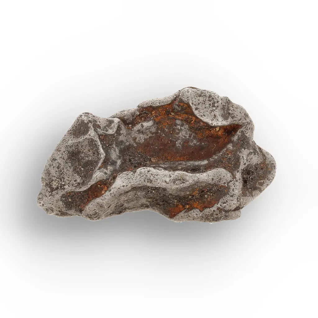 Get your Authentic Agoudal Iron Meteorite from the High Atlas online now or in store at Forever Gems in Franschhoek, South Africa