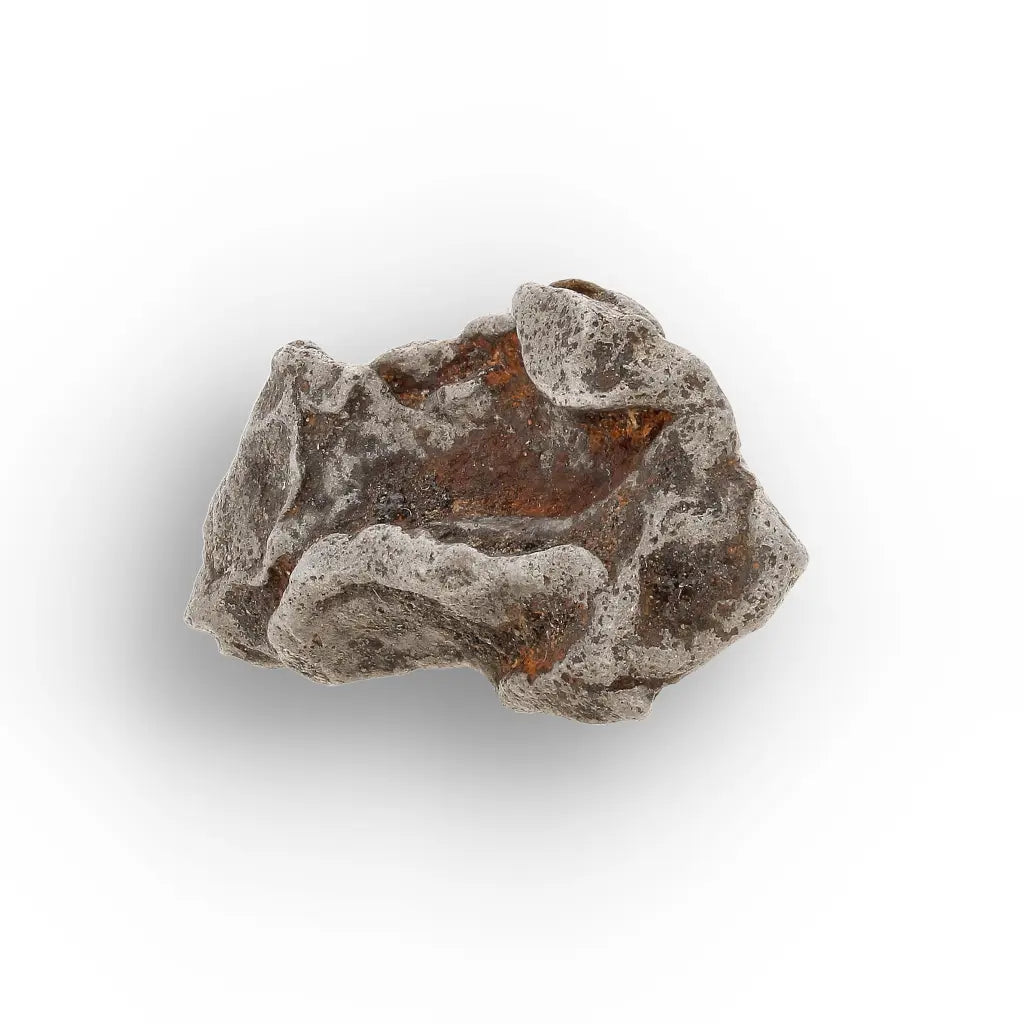 Get your Authentic Agoudal Iron Meteorite from the High Atlas online now or in store at Forever Gems in Franschhoek, South Africa