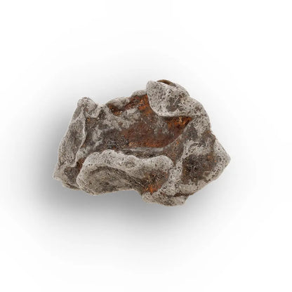 Get your Authentic Agoudal Iron Meteorite from the High Atlas online now or in store at Forever Gems in Franschhoek, South Africa