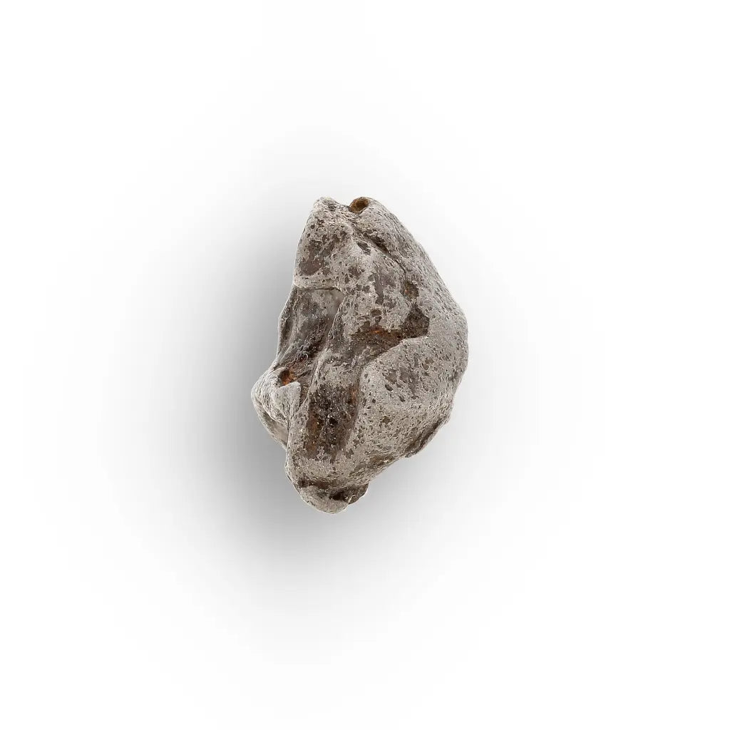 Get your Authentic Agoudal Iron Meteorite from the High Atlas online now or in store at Forever Gems in Franschhoek, South Africa