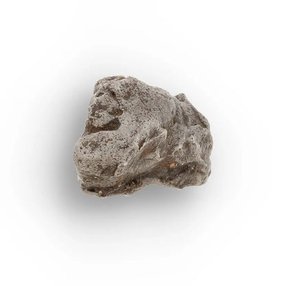 Get your Authentic Agoudal Iron Meteorite from the High Atlas online now or in store at Forever Gems in Franschhoek, South Africa