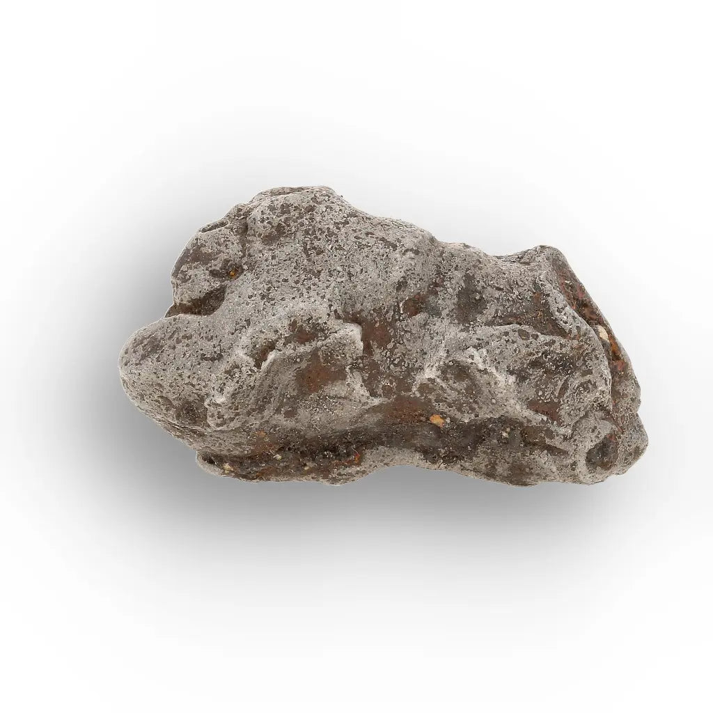 Get your Authentic Agoudal Iron Meteorite from the High Atlas online now or in store at Forever Gems in Franschhoek, South Africa