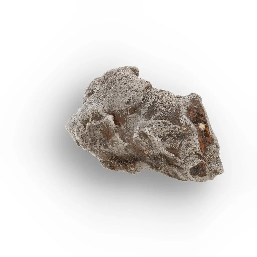 Get your Authentic Agoudal Iron Meteorite from the High Atlas online now or in store at Forever Gems in Franschhoek, South Africa