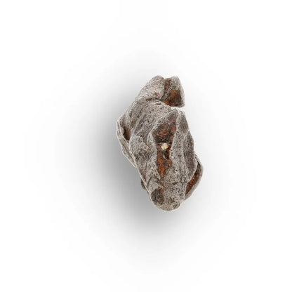 Get your Authentic Agoudal Iron Meteorite from the High Atlas online now or in store at Forever Gems in Franschhoek, South Africa