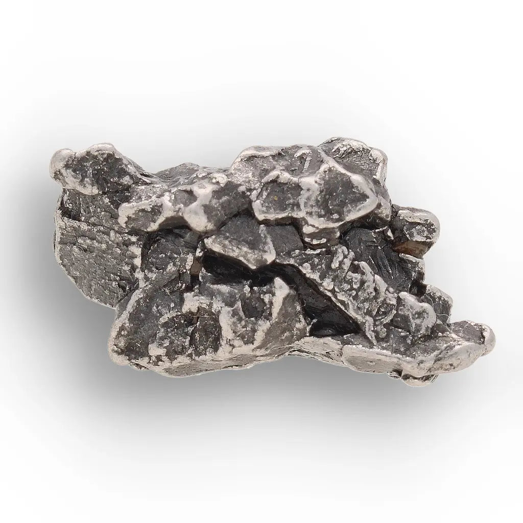 Get your From Ancient Seas to Falling Stars – A Fossil & Meteorite Treasure Chest online now or in store at Forever Gems in Franschhoek, South Africa