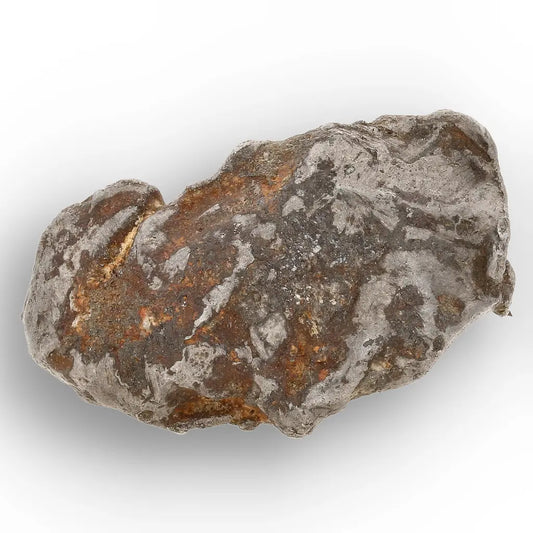 Get your Authentic Agoudal Iron Meteorite from Morocco online now or in store at Forever Gems in Franschhoek, South Africa