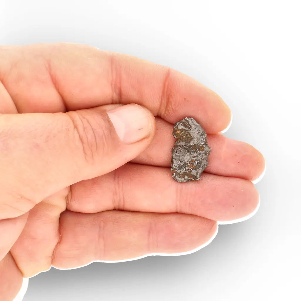 Get your Authentic Agoudal Iron Meteorite from Morocco online now or in store at Forever Gems in Franschhoek, South Africa