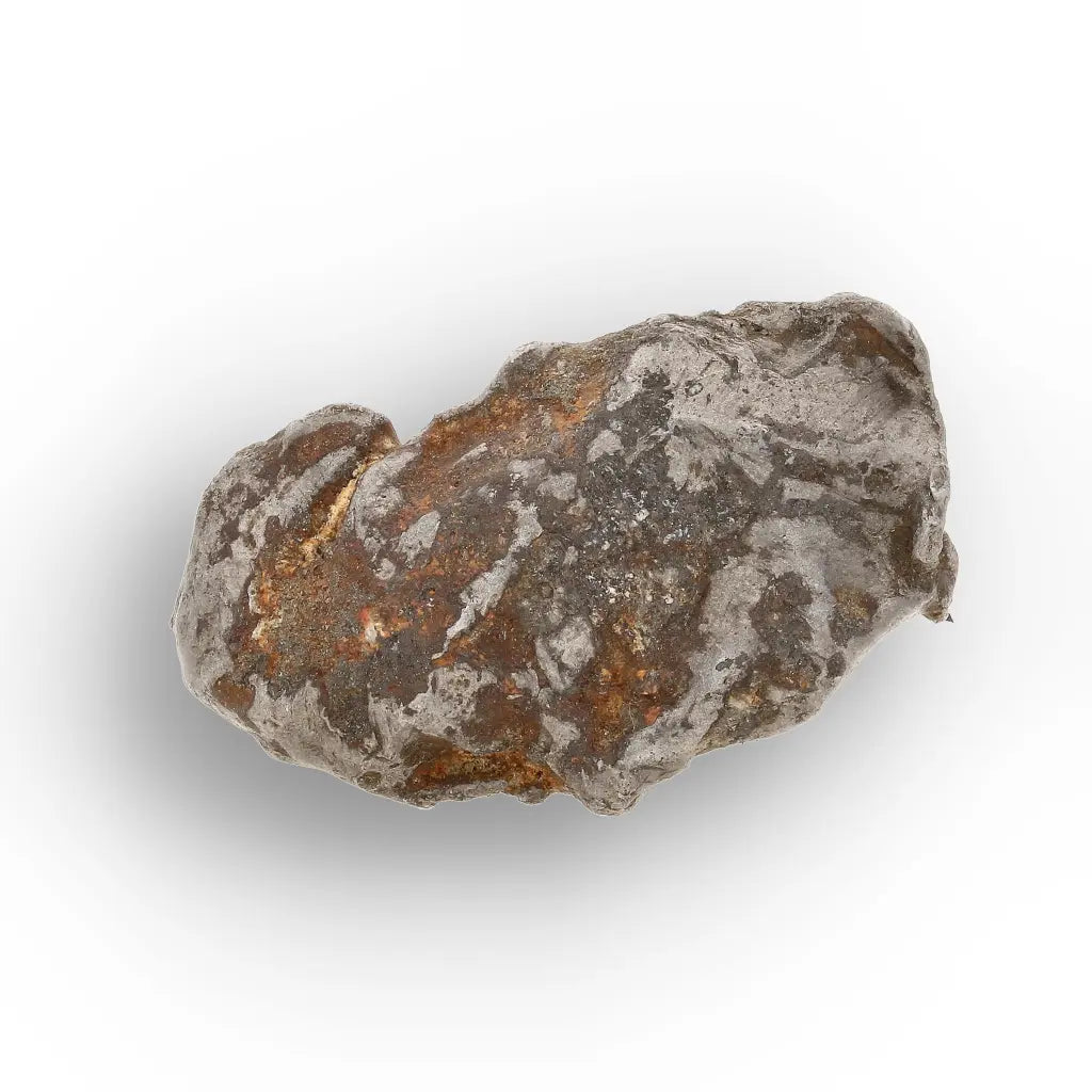 Get your Authentic Agoudal Iron Meteorite from Morocco online now or in store at Forever Gems in Franschhoek, South Africa