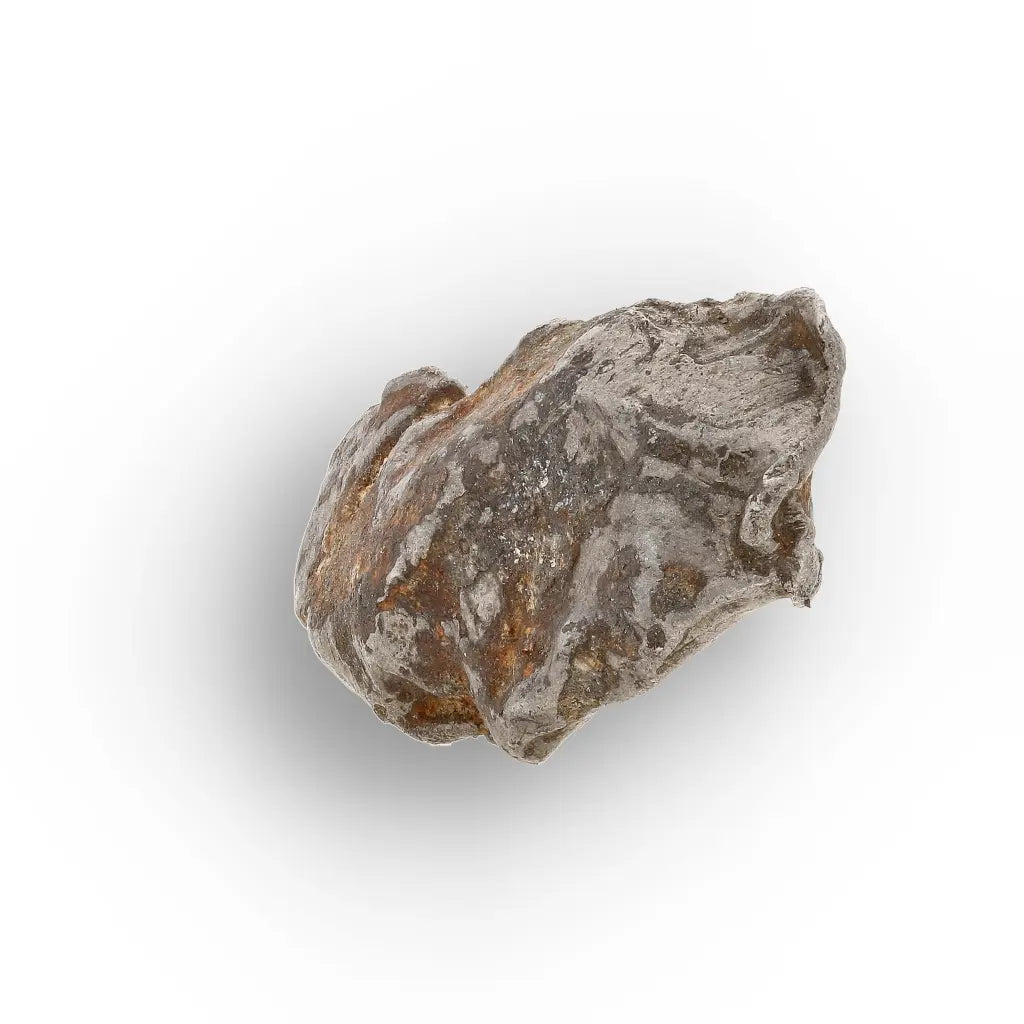 Get your Authentic Agoudal Iron Meteorite from Morocco online now or in store at Forever Gems in Franschhoek, South Africa