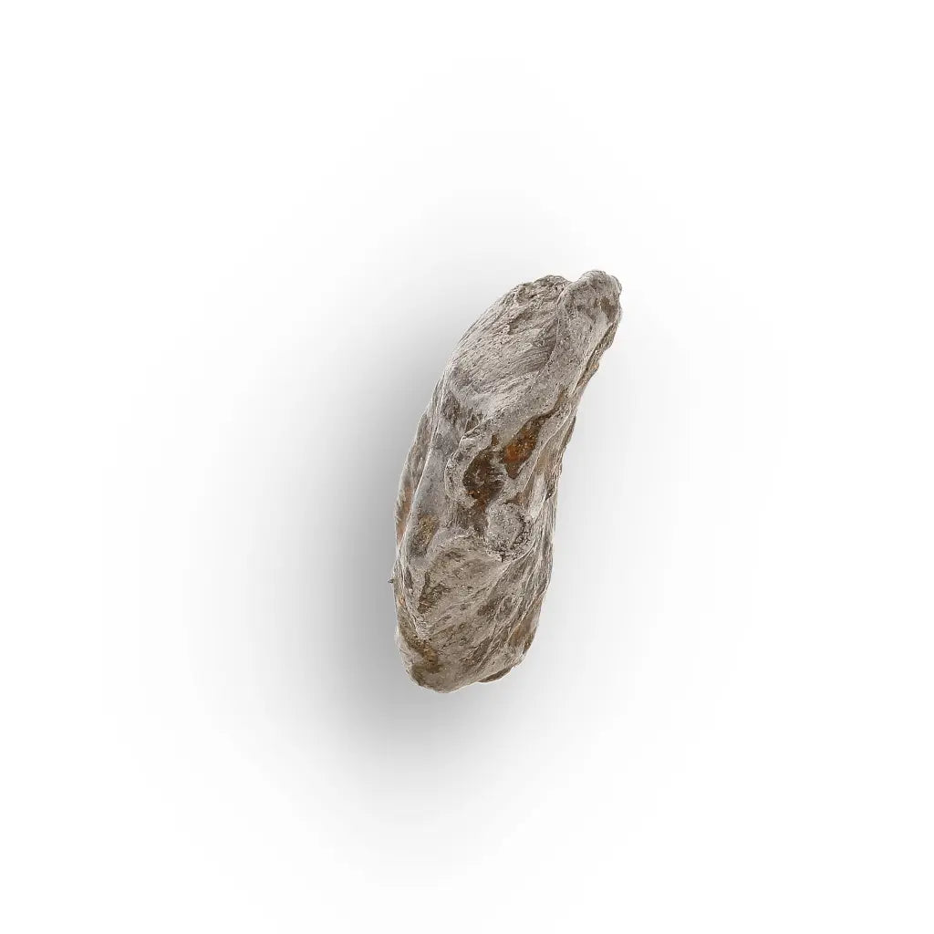 Get your Authentic Agoudal Iron Meteorite from Morocco online now or in store at Forever Gems in Franschhoek, South Africa