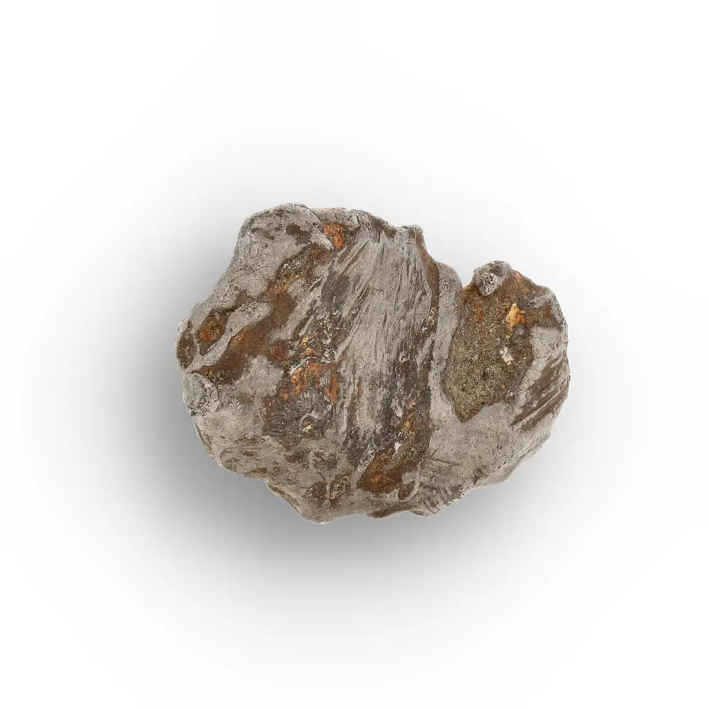 Get your Authentic Agoudal Iron Meteorite from Morocco online now or in store at Forever Gems in Franschhoek, South Africa