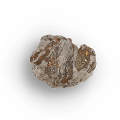 Get your Authentic Agoudal Iron Meteorite from Morocco online now or in store at Forever Gems in Franschhoek, South Africa