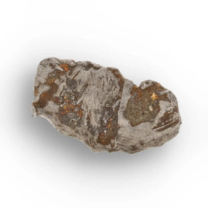 Get your Authentic Agoudal Iron Meteorite from Morocco online now or in store at Forever Gems in Franschhoek, South Africa