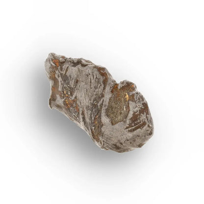 Get your Authentic Agoudal Iron Meteorite from Morocco online now or in store at Forever Gems in Franschhoek, South Africa