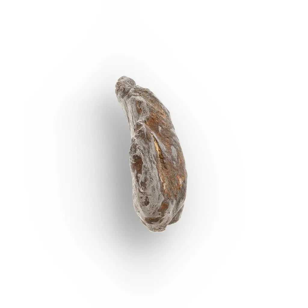 Get your Authentic Agoudal Iron Meteorite from Morocco online now or in store at Forever Gems in Franschhoek, South Africa