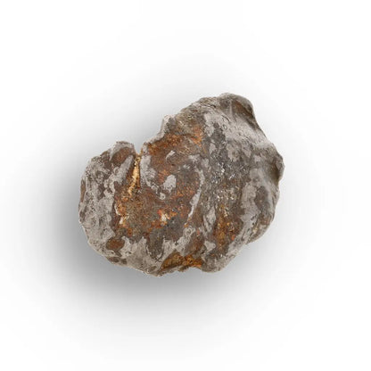 Get your Authentic Agoudal Iron Meteorite from Morocco online now or in store at Forever Gems in Franschhoek, South Africa