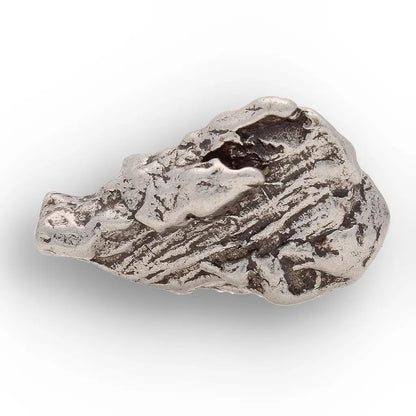 Get your From Ancient Seas to Falling Stars – A Fossil & Meteorite Treasure Chest online now or in store at Forever Gems in Franschhoek, South Africa