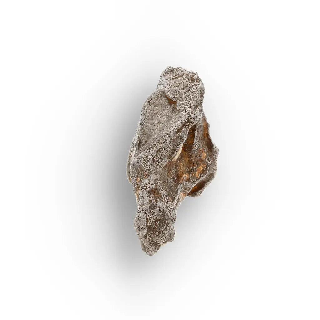 Get your Agoudal Iron Meteorite Morocco 10g Authentic Specimen online now or in store at Forever Gems in Franschhoek, South Africa