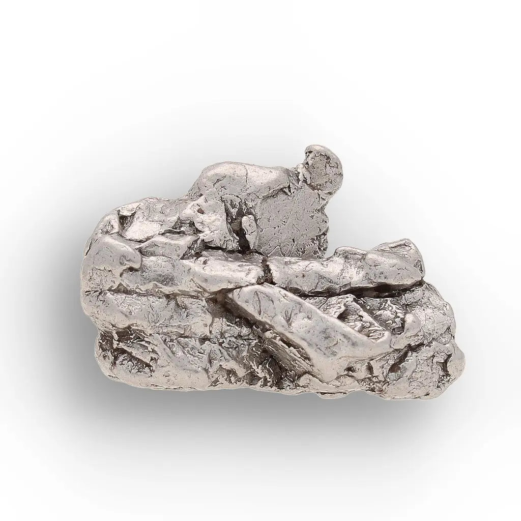 Get your From Ancient Seas to Falling Stars – A Fossil & Meteorite Treasure Chest online now or in store at Forever Gems in Franschhoek, South Africa