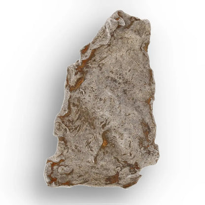 5 Gram Agoudal Iron Meteorite IIAB Specimen from Morocco