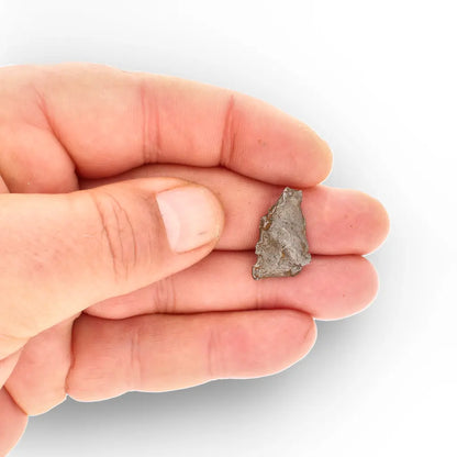 5 Gram Agoudal Iron Meteorite IIAB Specimen from Morocco
