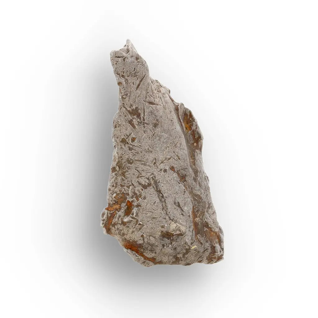 5 Gram Agoudal Iron Meteorite IIAB Specimen from Morocco