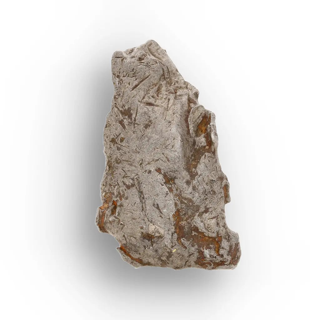 5 Gram Agoudal Iron Meteorite IIAB Specimen from Morocco