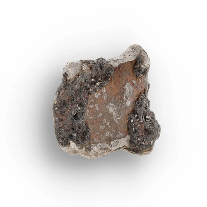 Agoudal Iron Meteorite IIAB Specimen from Morocco
