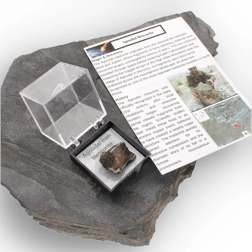 Agoudal Iron Meteorite IIAB Specimen from Morocco