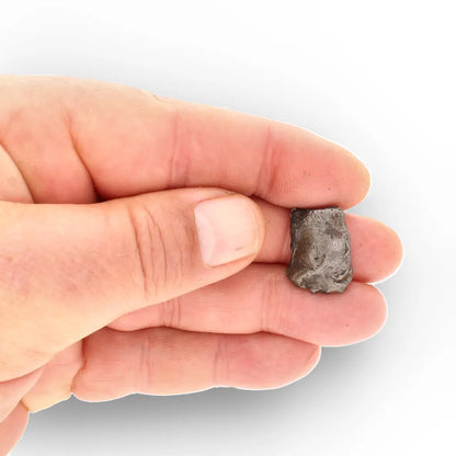 Agoudal Iron Meteorite IIAB Specimen from Morocco
