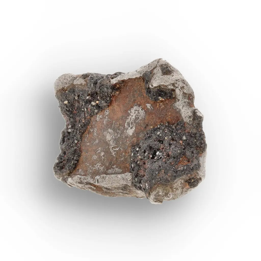 Agoudal Iron Meteorite IIAB Specimen from Morocco