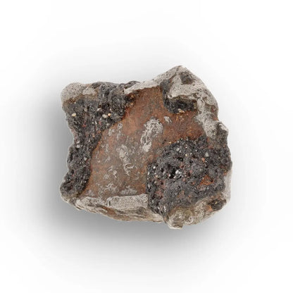 Agoudal Iron Meteorite IIAB Specimen from Morocco