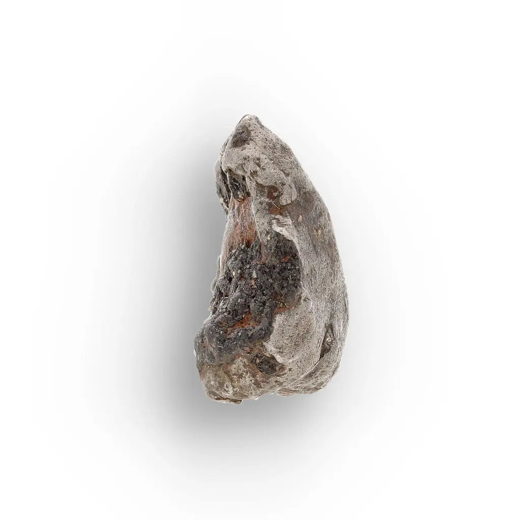 Agoudal Iron Meteorite IIAB Specimen from Morocco