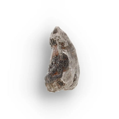 Agoudal Iron Meteorite IIAB Specimen from Morocco
