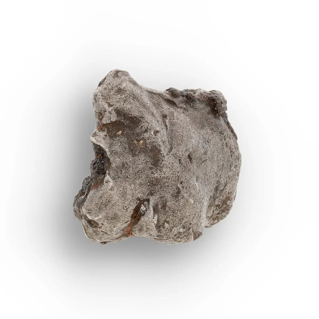 Agoudal Iron Meteorite IIAB Specimen from Morocco