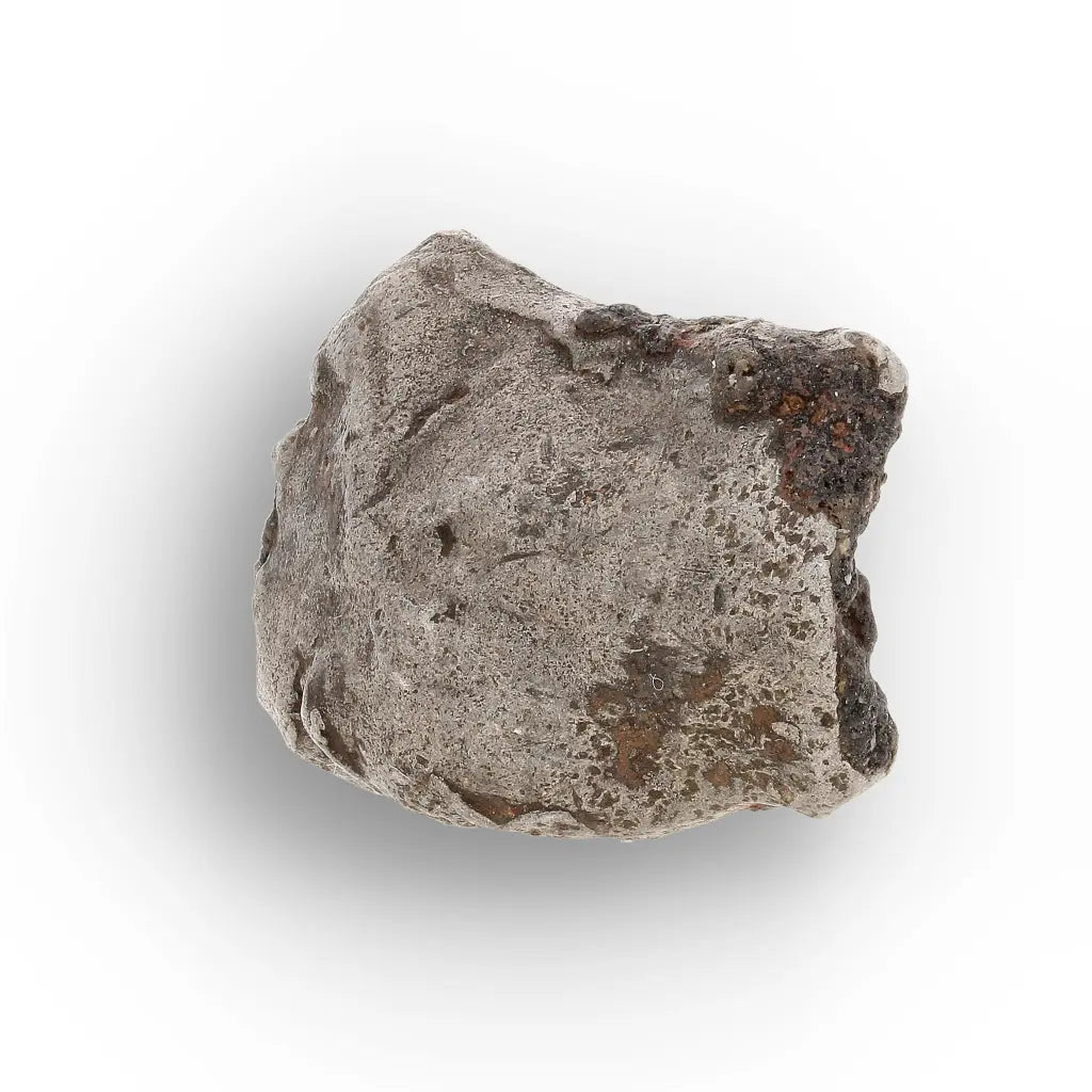 Agoudal Iron Meteorite IIAB Specimen from Morocco
