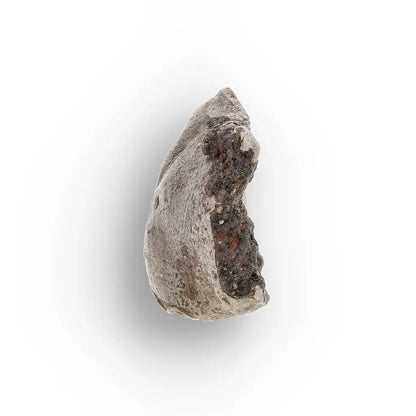 Agoudal Iron Meteorite IIAB Specimen from Morocco
