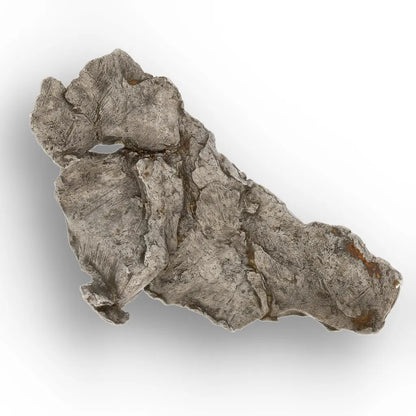 Agoudal Meteorite Rare Iron Specimen from Morocco