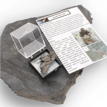 Agoudal Meteorite Rare Iron Specimen from Morocco
