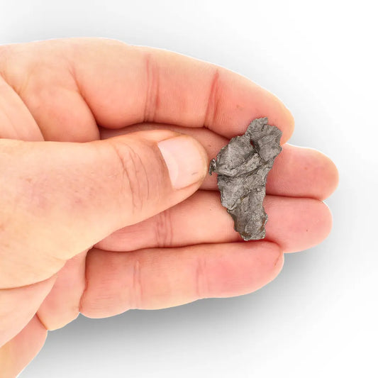 Get your Agoudal Meteorite Rare Iron Specimen from Morocco online now or in store at Forever Gems in Franschhoek, South Africa