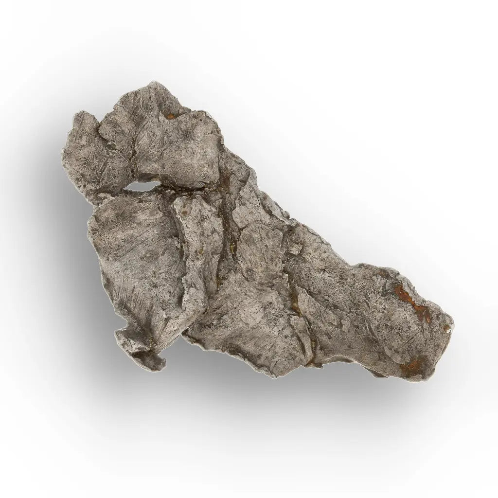 Agoudal Meteorite Rare Iron Specimen from Morocco