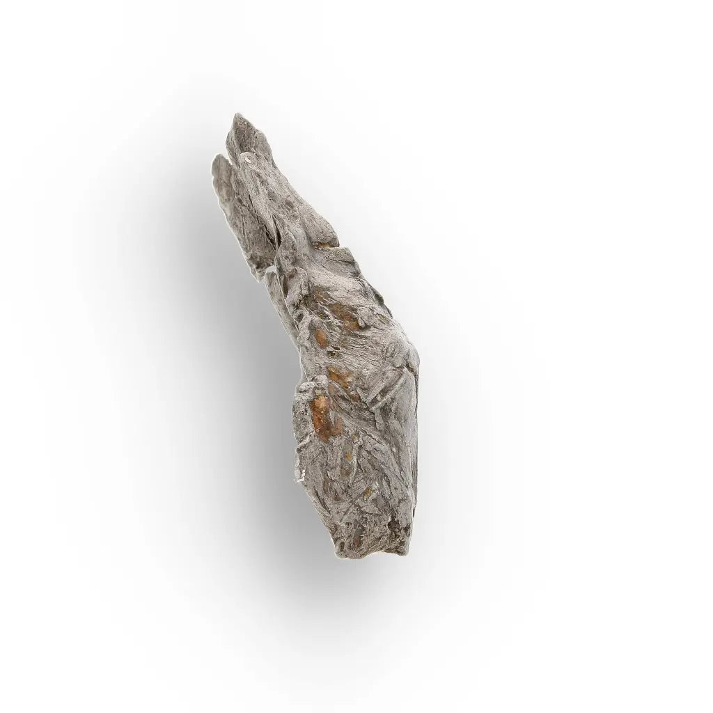 Agoudal Meteorite Rare Iron Specimen from Morocco
