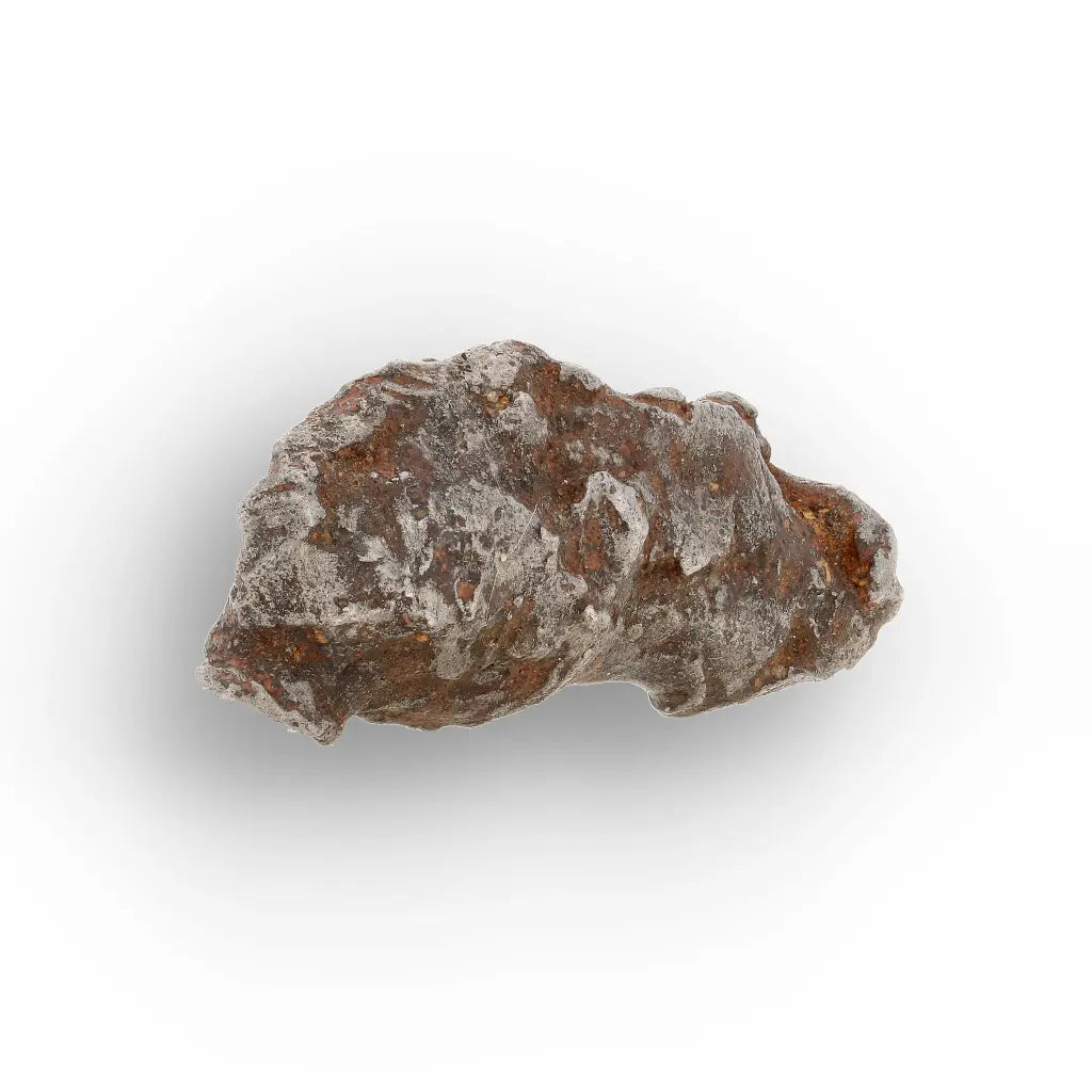 10 Gram Agoudal Meteorite Iron Specimen from Morocco