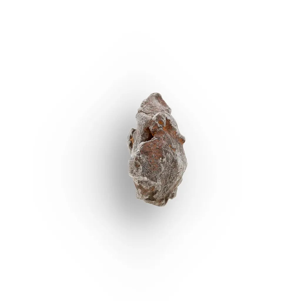 10 Gram Agoudal Meteorite Iron Specimen from Morocco