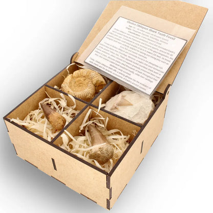 Get your Predators of the Ancient Seas – A Fossil Gift from a Lost World online now or in store at Forever Gems in Franschhoek, South Africa