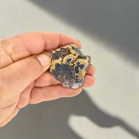 Get your Small Museum-Quality Olkusz Schalenblende: Polished Sphalerite, Galena, Marcasite Ore Specimen online now or in store at Forever Gems in Franschhoek, South Africa