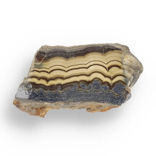 Get your Collector's Grade Olkusz Schalenblende: Fluorescent Sphalerite, Galena & Marcasite Slice from Poland online now or in store at Forever Gems in Franschhoek, South Africa