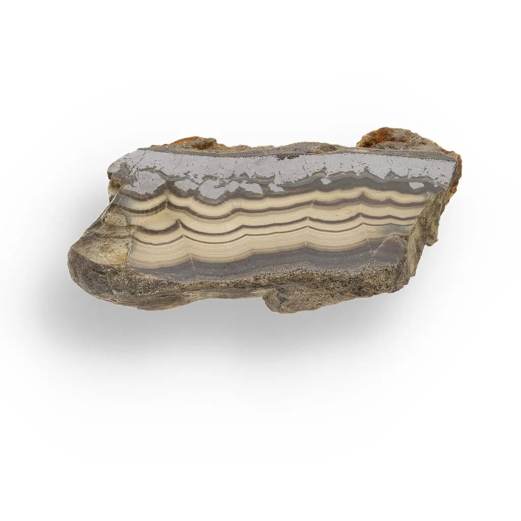 Get your Collector's Grade Olkusz Schalenblende: Fluorescent Sphalerite, Galena & Marcasite Slice from Poland online now or in store at Forever Gems in Franschhoek, South Africa
